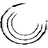 Triple C Brewing logo